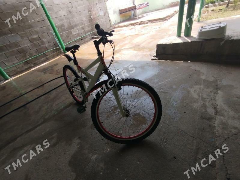 tigir - Büzmeýin GRES - img 2