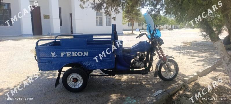 Fekon FK200-14G 2014 - 16 000 TMT - Анев - img 6