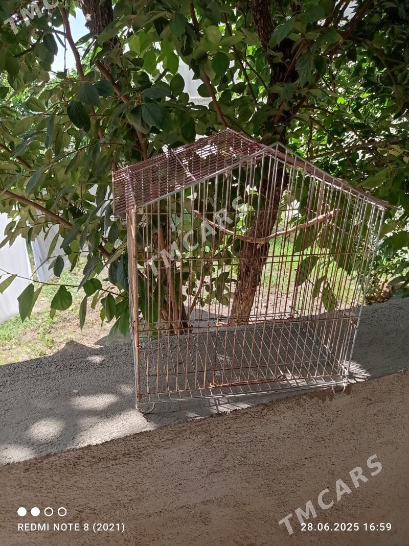 Guşyň kletkasy/Клетка для птиц - Aşgabat - img 2