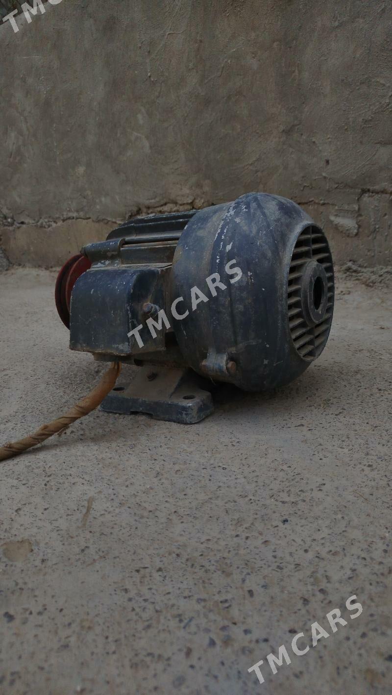 elektro mator - Ak bugdaý etraby - img 2
