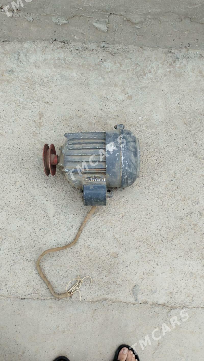 elektro mator - Ak bugdaý etraby - img 3