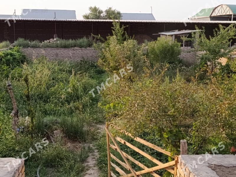 Satlyk Plan jay iki sany. - Ходжамбаз - img 3