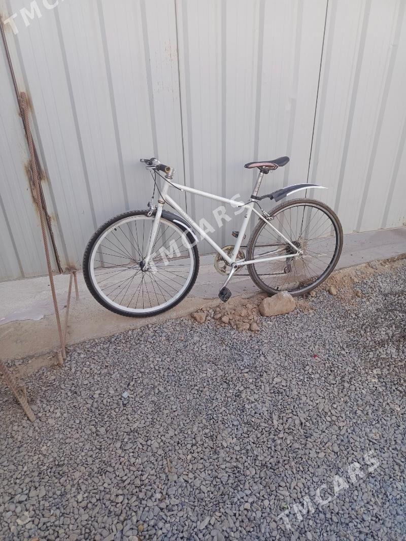 sportiwny tigir - Aşgabat - img 1
