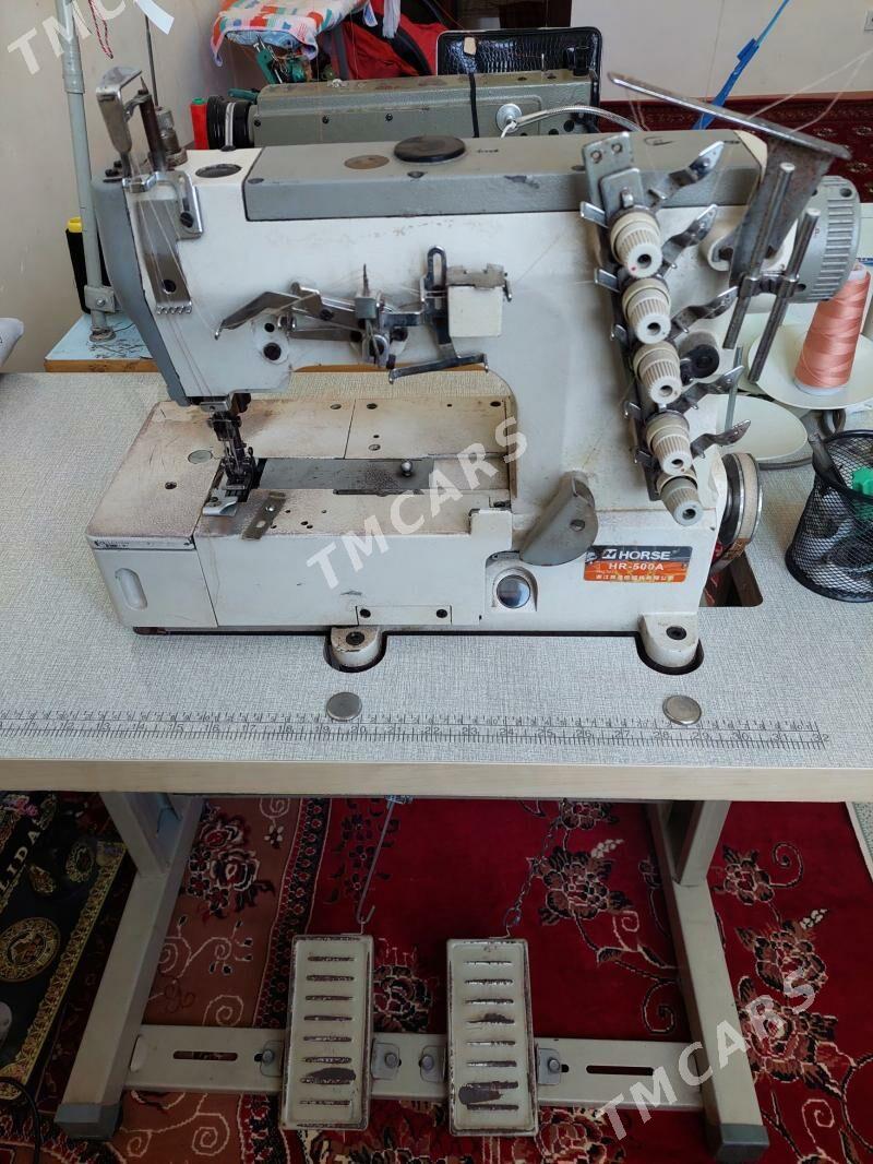 Dikin maşyn - Ak bugdaý etraby - img 2