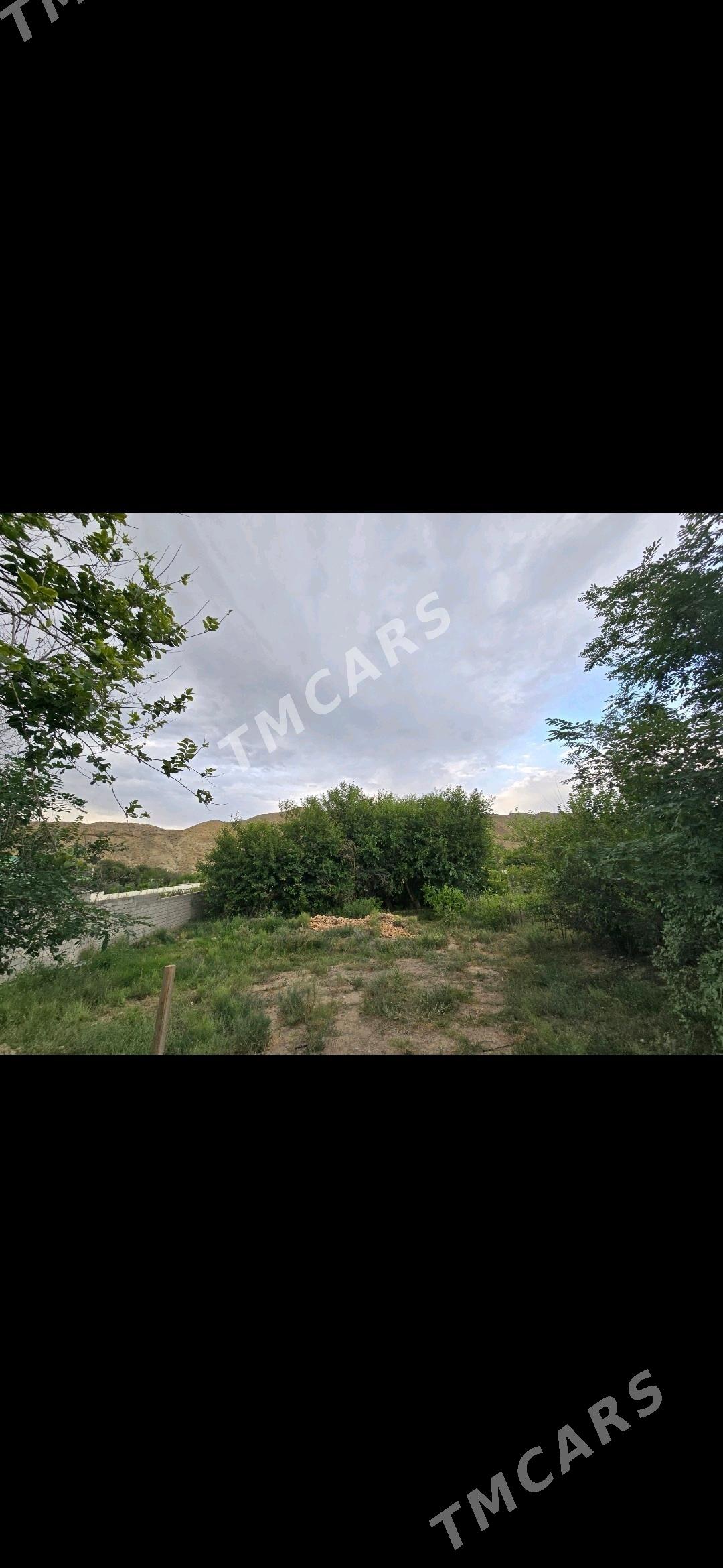 Satlyk daca - Gökdepe - img 8