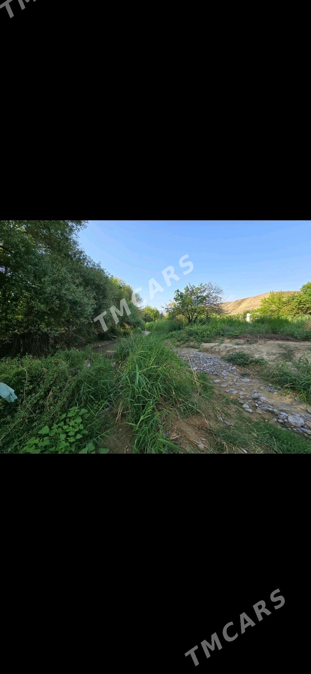 Satlyk daca - Gökdepe - img 7