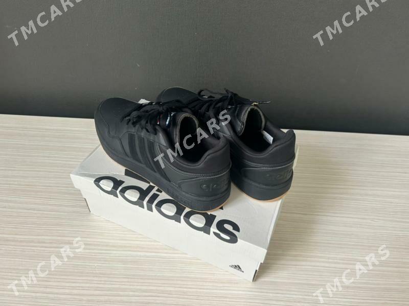 Adidas hoops3.0 - Ашхабад - img 2
