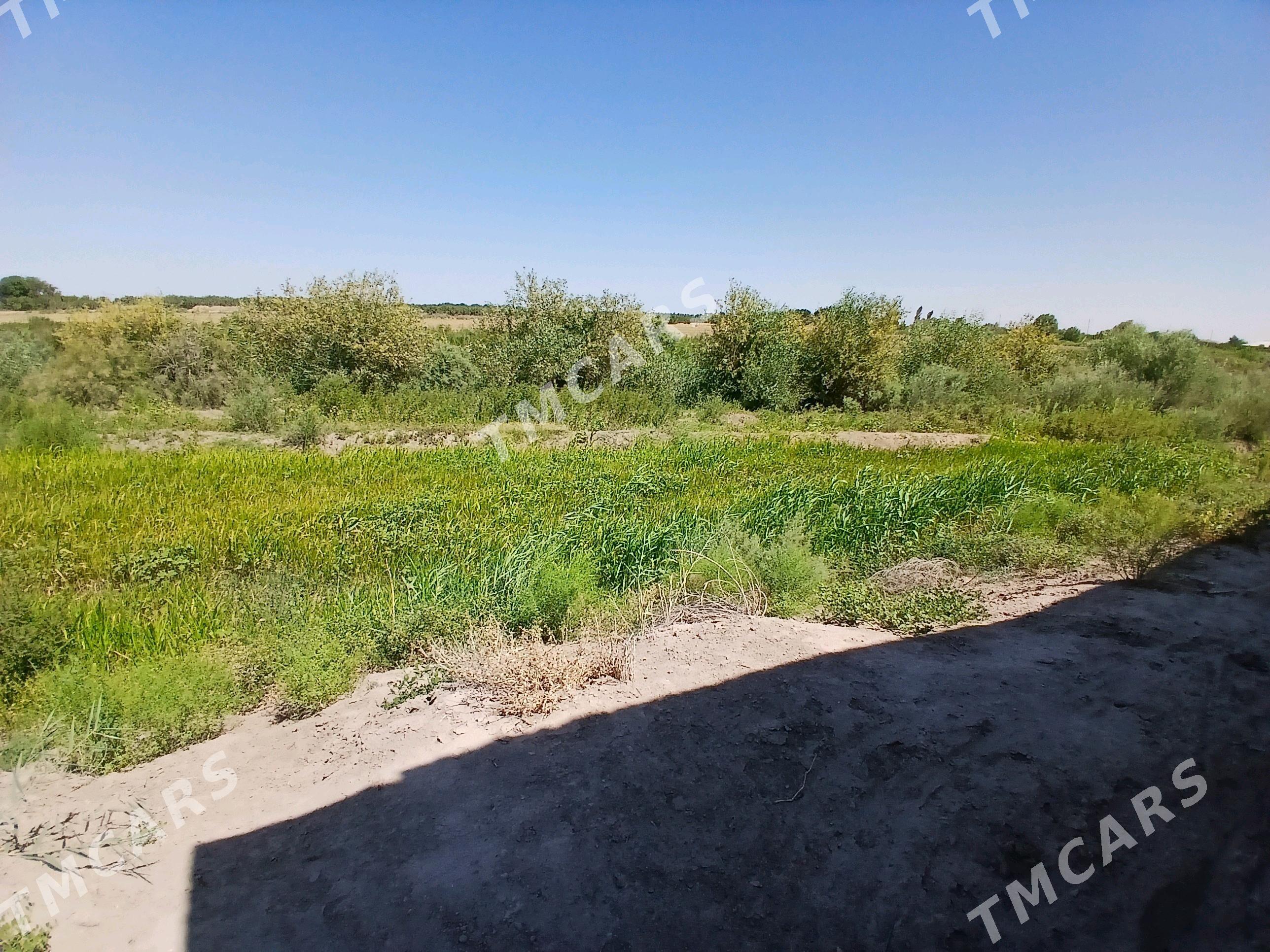 plan jay - Гурбансолтан Едже - img 3