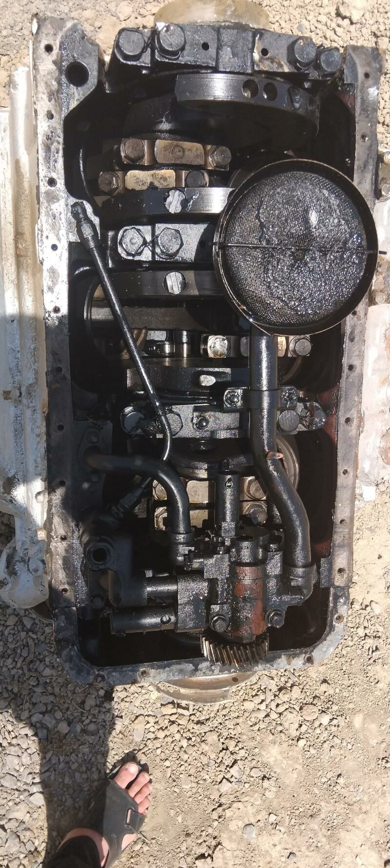 maz dibitl 4 000 TMT - Gökdepe - img 3