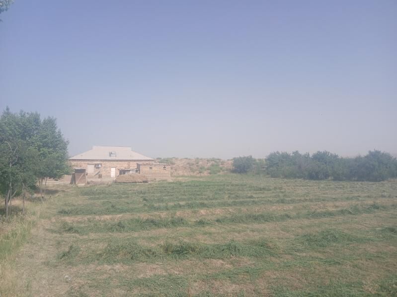 Satlyk jaÿ - Тагтабазар - img 5