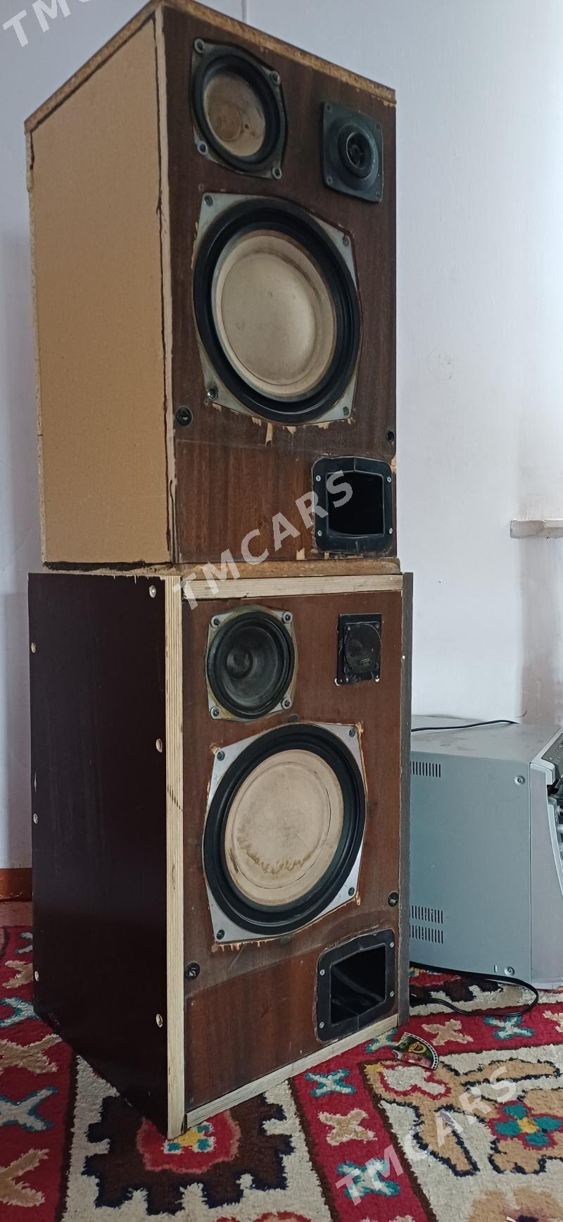 s90 kolonka - Büzmeýin GRES - img 2