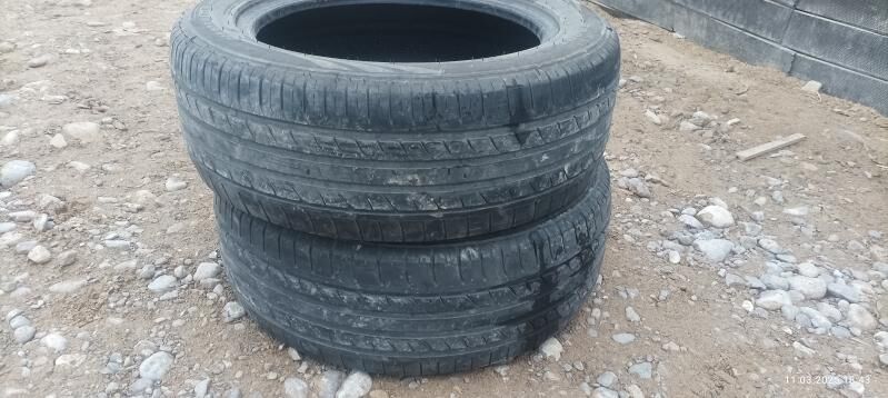 teker 300 TMT - Ak bugdaý etraby - img 4