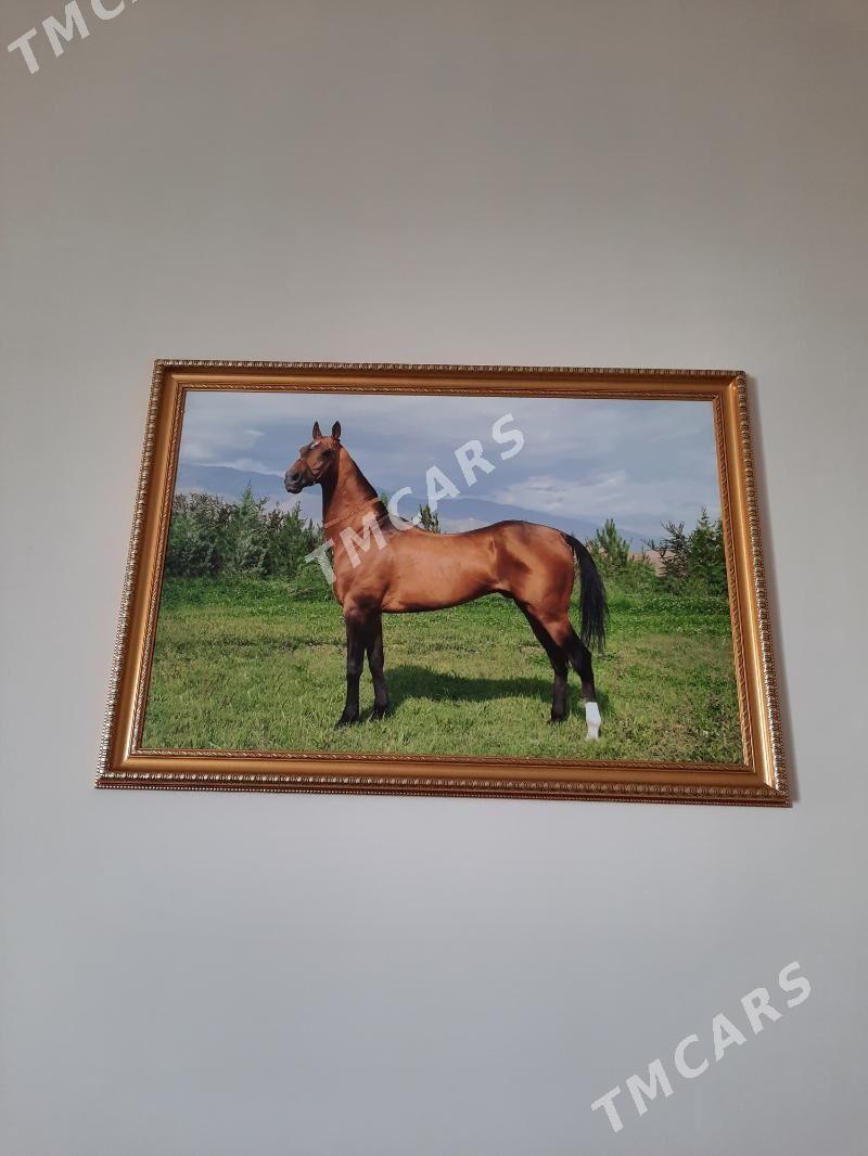 Катрины - Aşgabat - img 2
