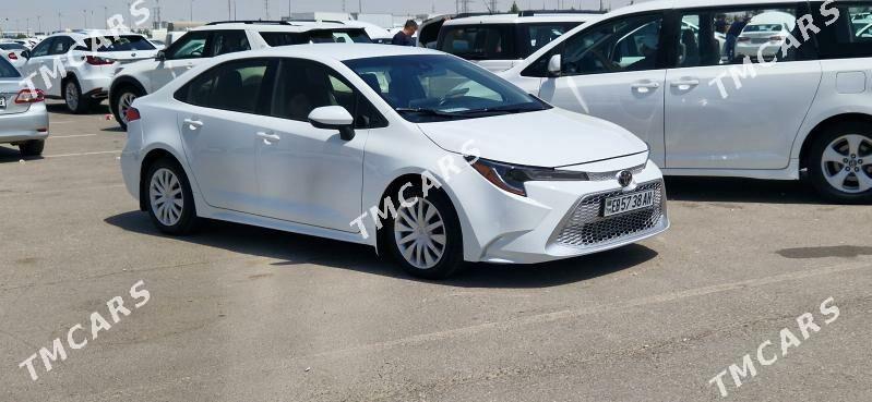 Toyota Corolla 2021 - 210 000 TMT - Tejen - img 5