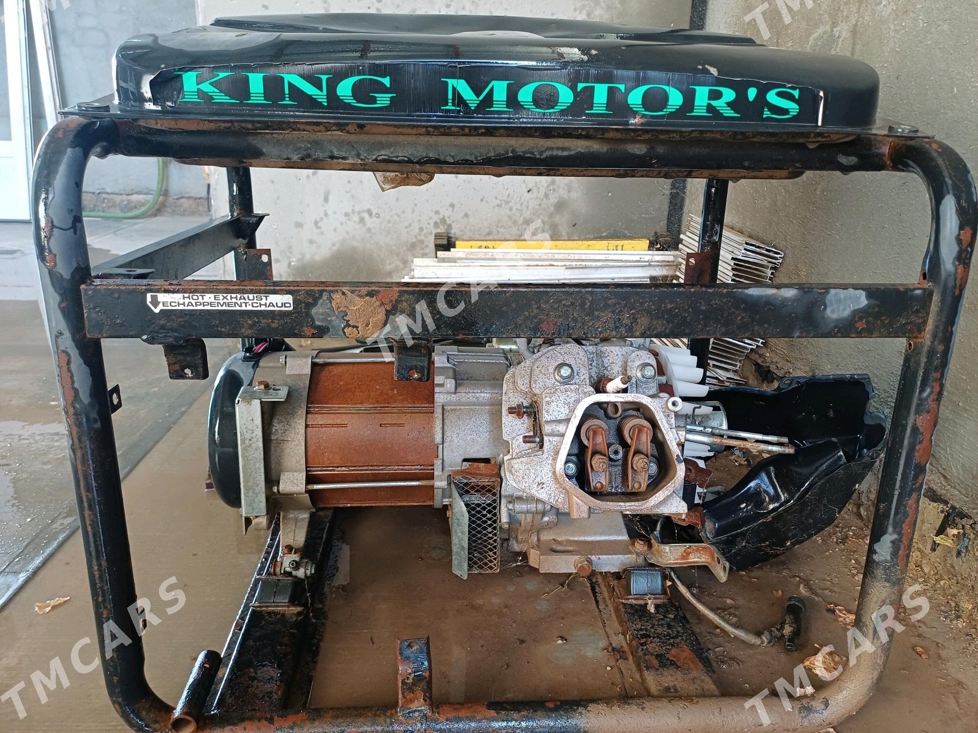 Generator - Mary - img 4