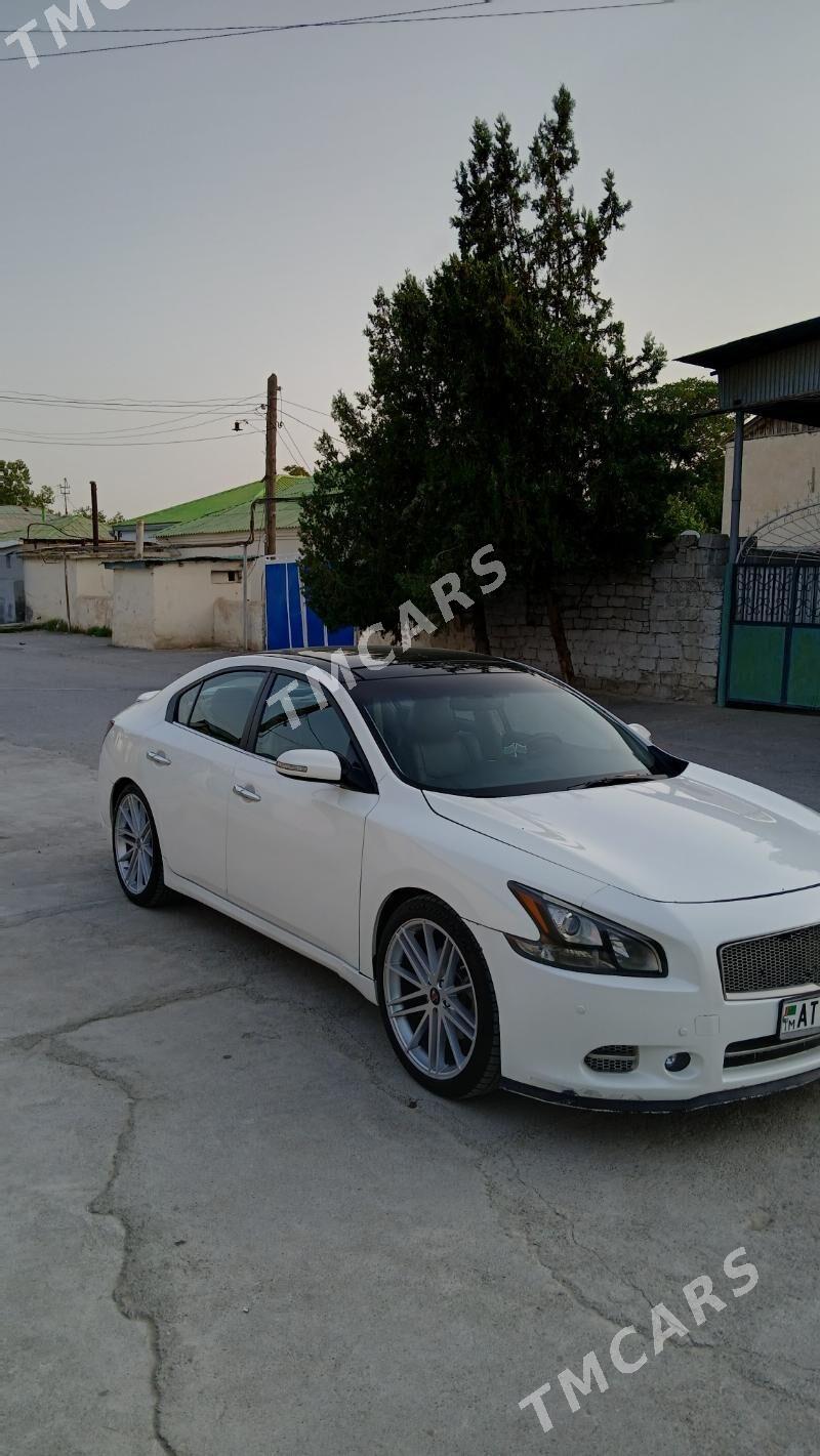 Nissan Maxima 2010 - 182 000 TMT - Aşgabat - img 5