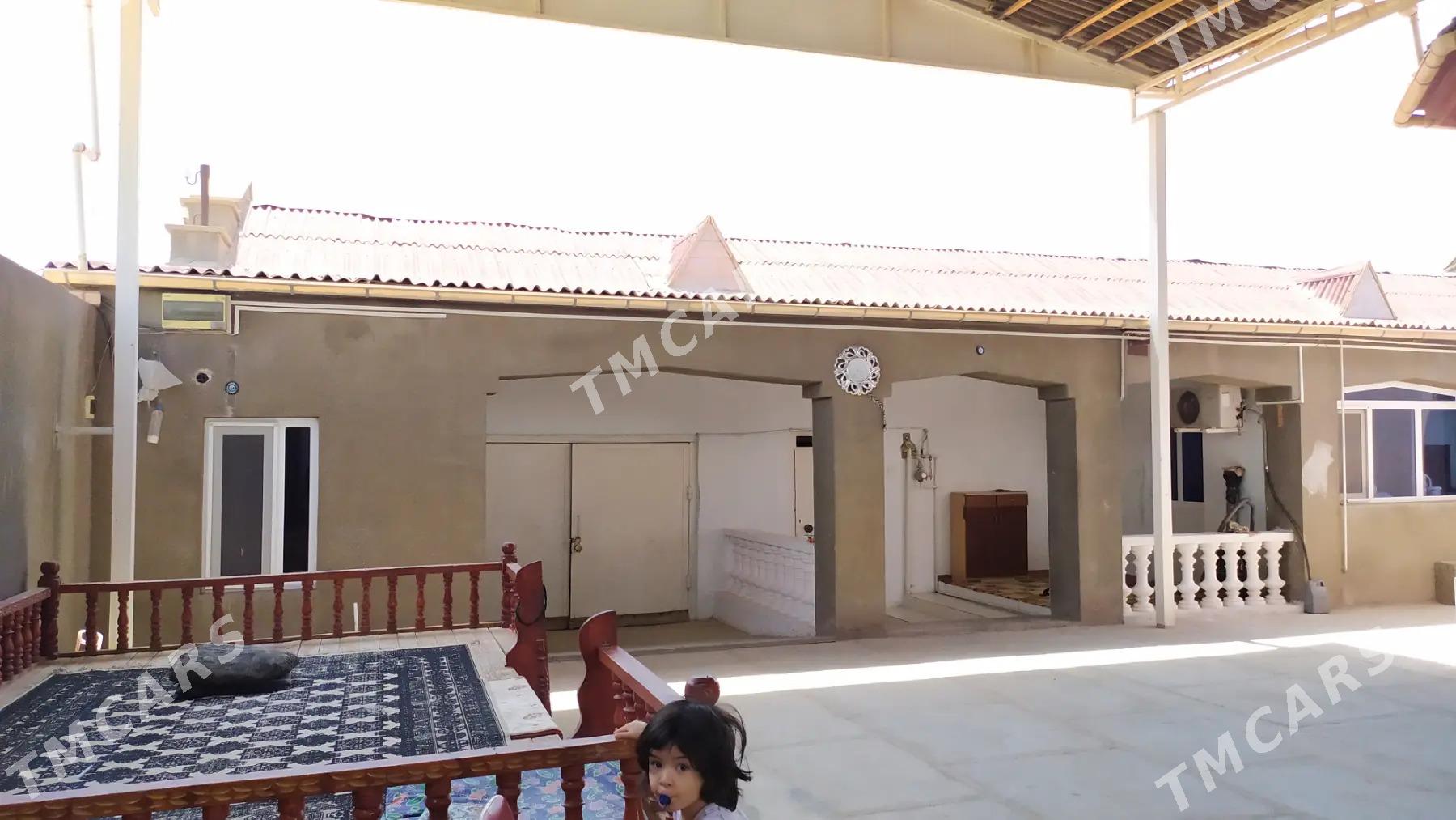Hususy jay - Jebel - img 3