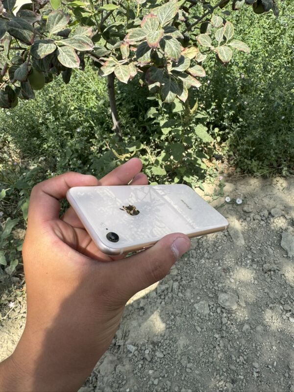 Iphone 8 - Bäherden - img 6