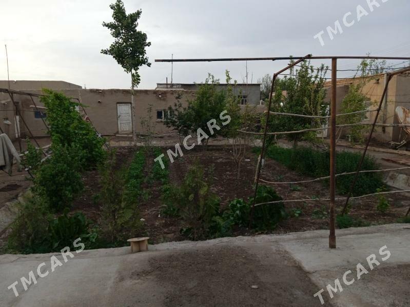 Satlyk jay - Türkmenbaşy etr. - img 3