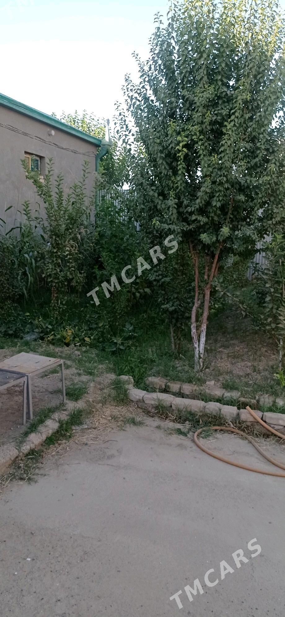Daca Gres Miculinda - Мары - img 3