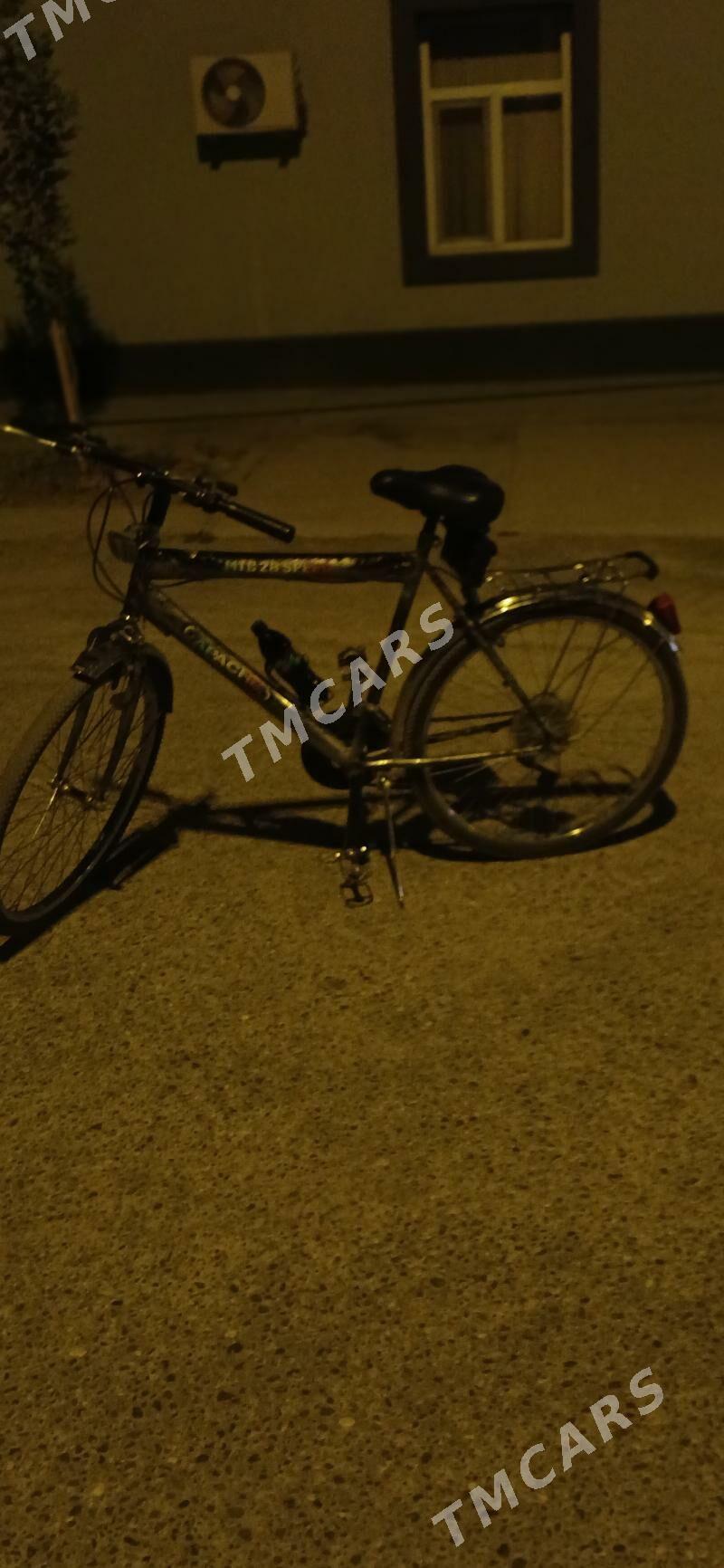 Yapon tigir - Хитровка - img 3