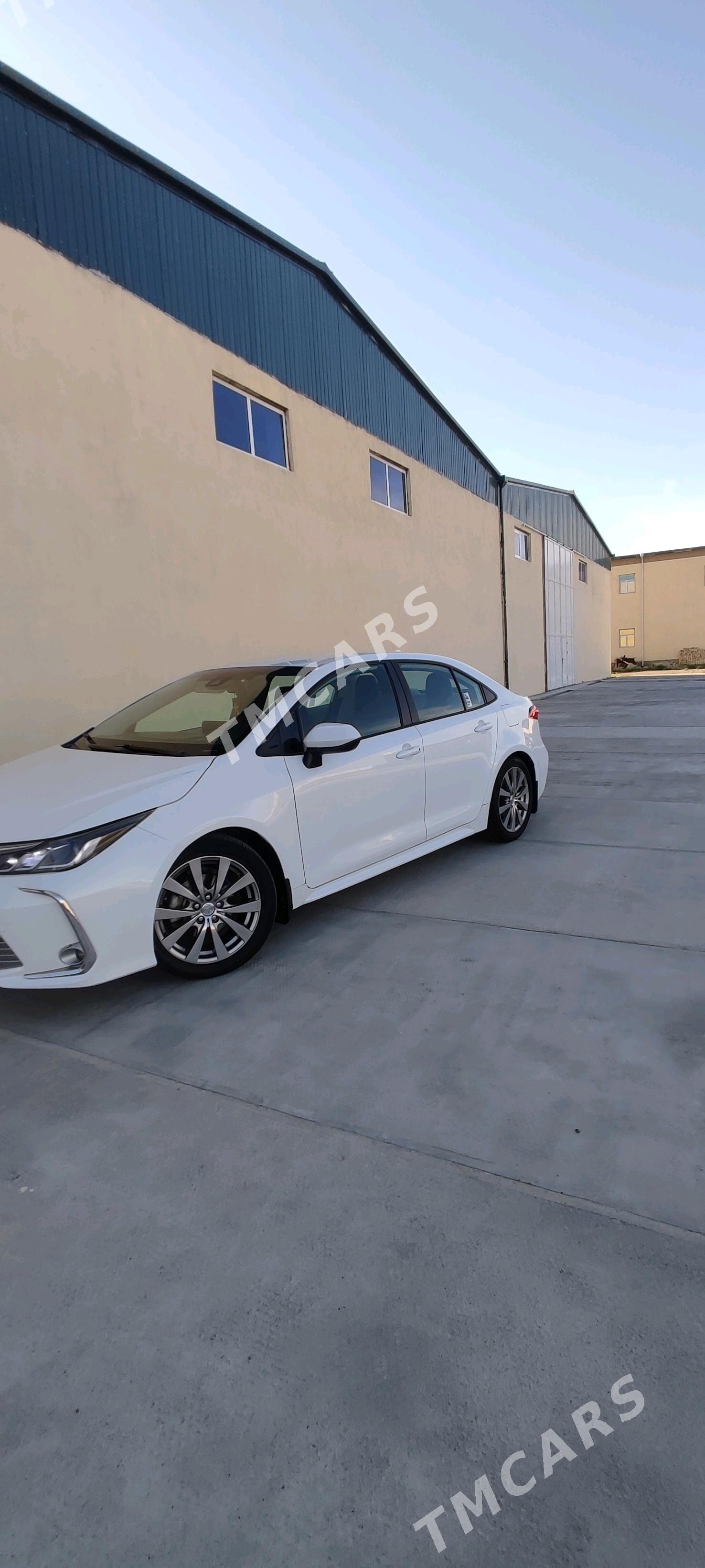 Toyota Corolla 2020 - 240 000 TMT - Мары - img 2