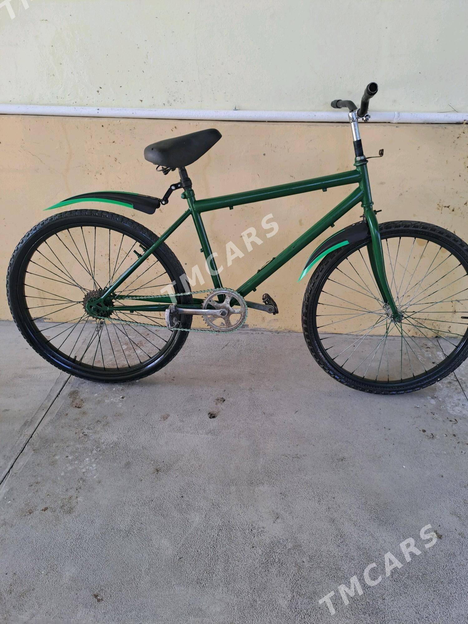 Turkmenistan tigir - Gökje - img 2