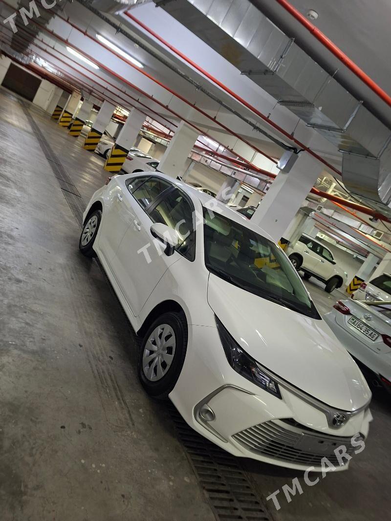 Toyota Corolla 2023 - 350 000 TMT - 15-й этап - img 3