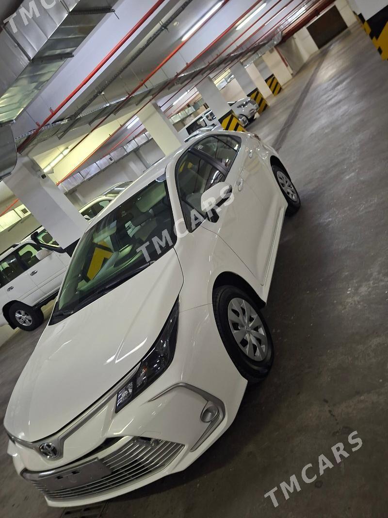 Toyota Corolla 2023 - 350 000 TMT - 15-й этап - img 2