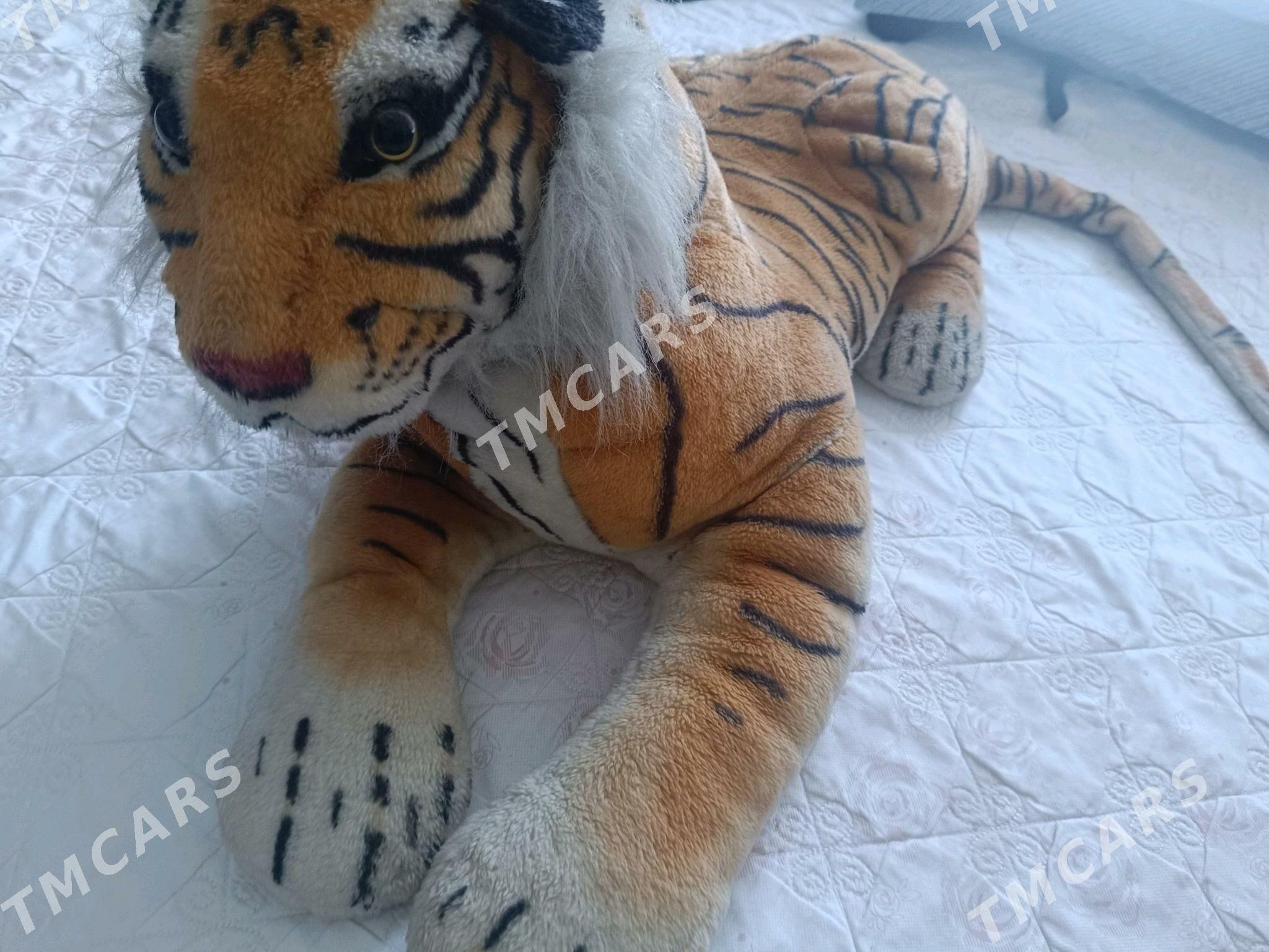 tigr - Daşoguz - img 2