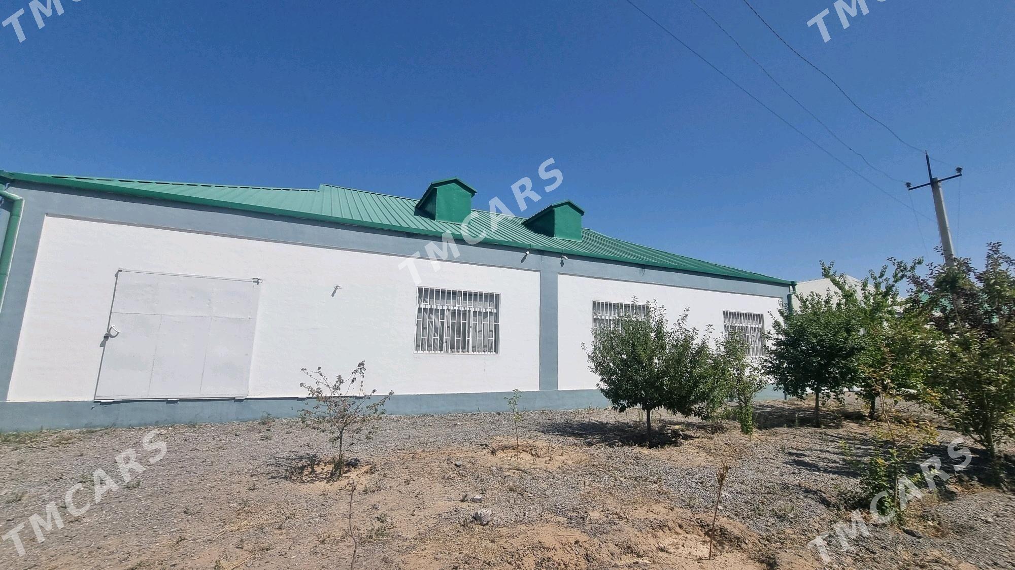 Satlyk jaý Çoganlyda 6sotok - Aşgabat - img 2