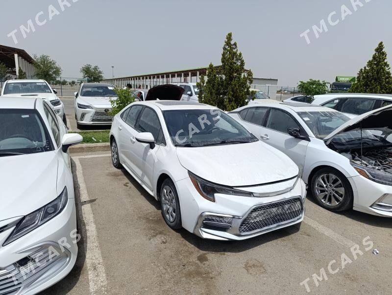 Toyota Corolla 2020 - 240 000 TMT - Çoganly - img 6