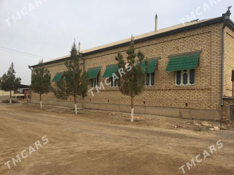 GOŞA PLAN JAY SATLYK GYSSAGLY - Векильбазар - img 3