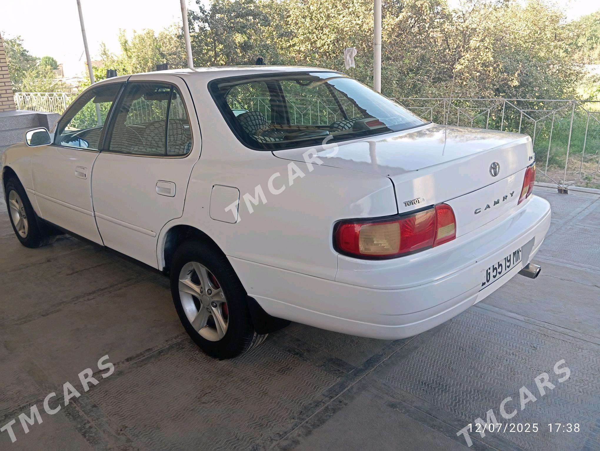 Toyota Camry 1995 - 80 000 TMT - Sakarçäge - img 3