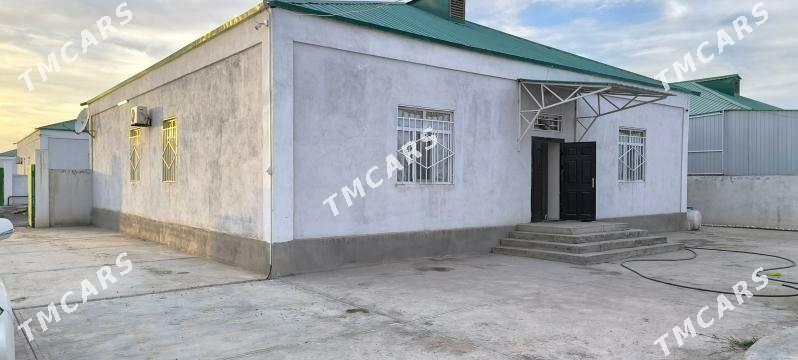 SATLYK JAÝ GÖKDEPE - Gökdepe - img 2