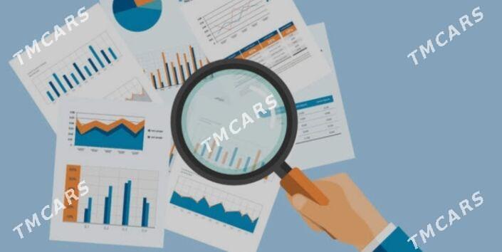Barlag. Analiz audit geciryan - Daşoguz - img 2
