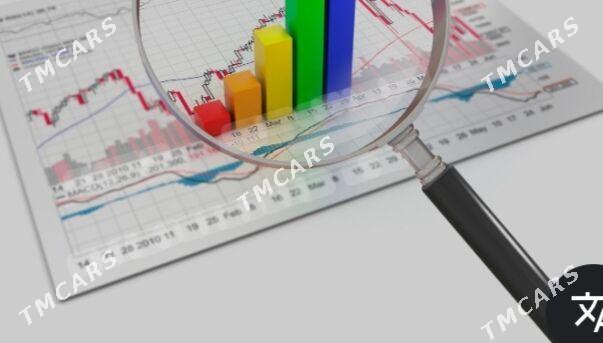 Barlag. Analiz audit geciryan - Daşoguz - img 3