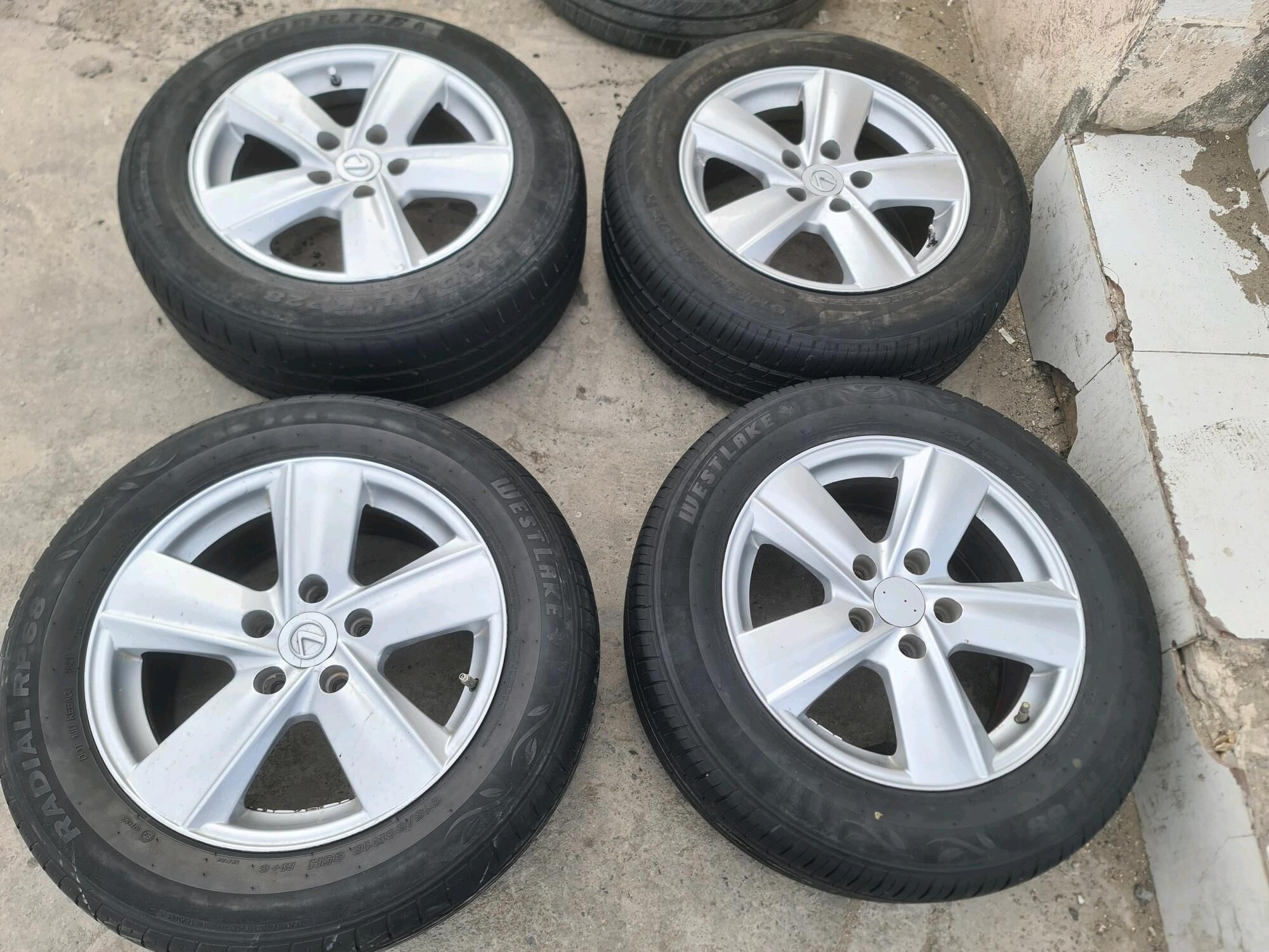 okuz kelle Disga R16 3 000 TMT - Türkmenabat - img 3
