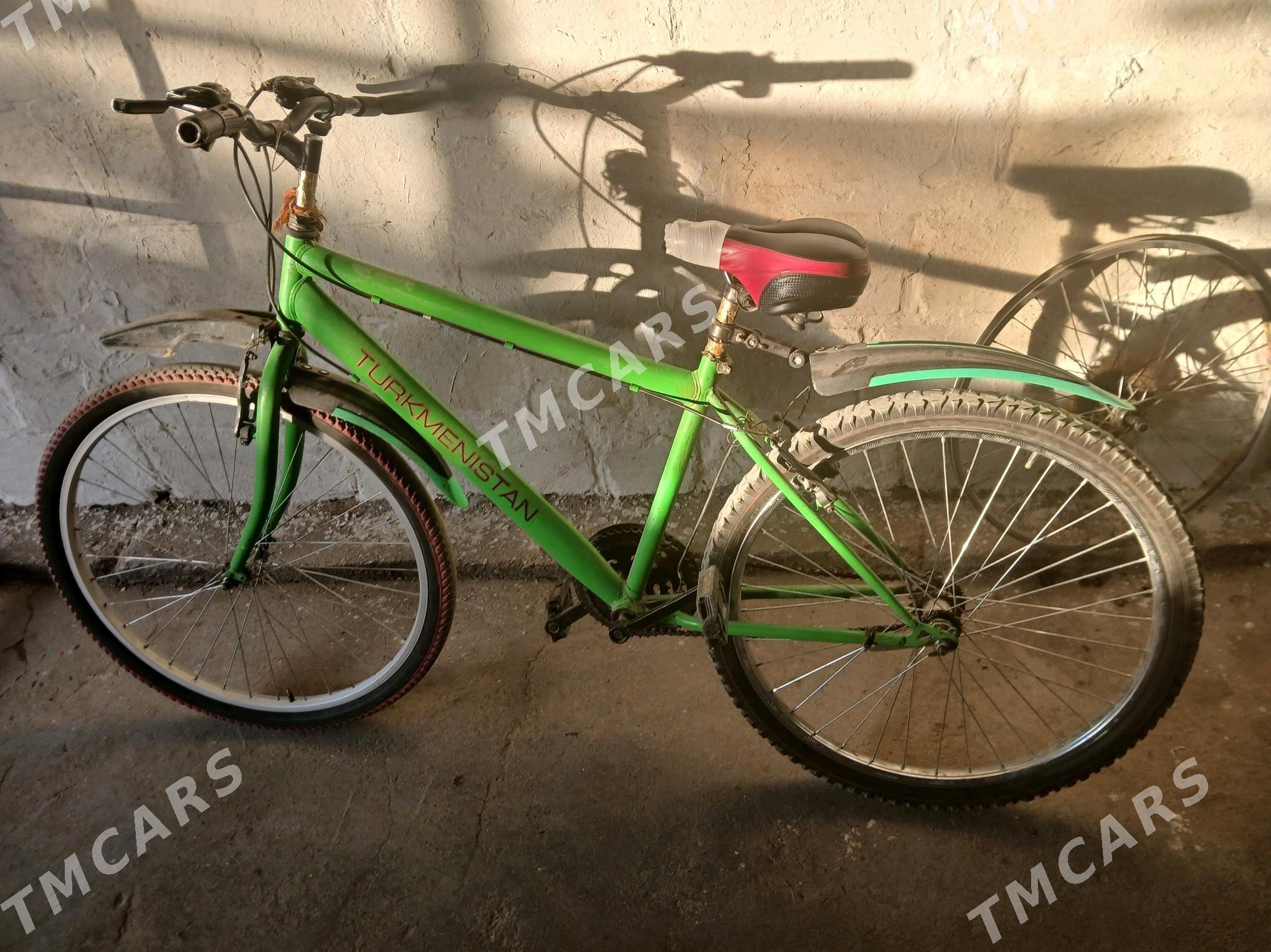 turkmenistan tigir - Bedew - img 3