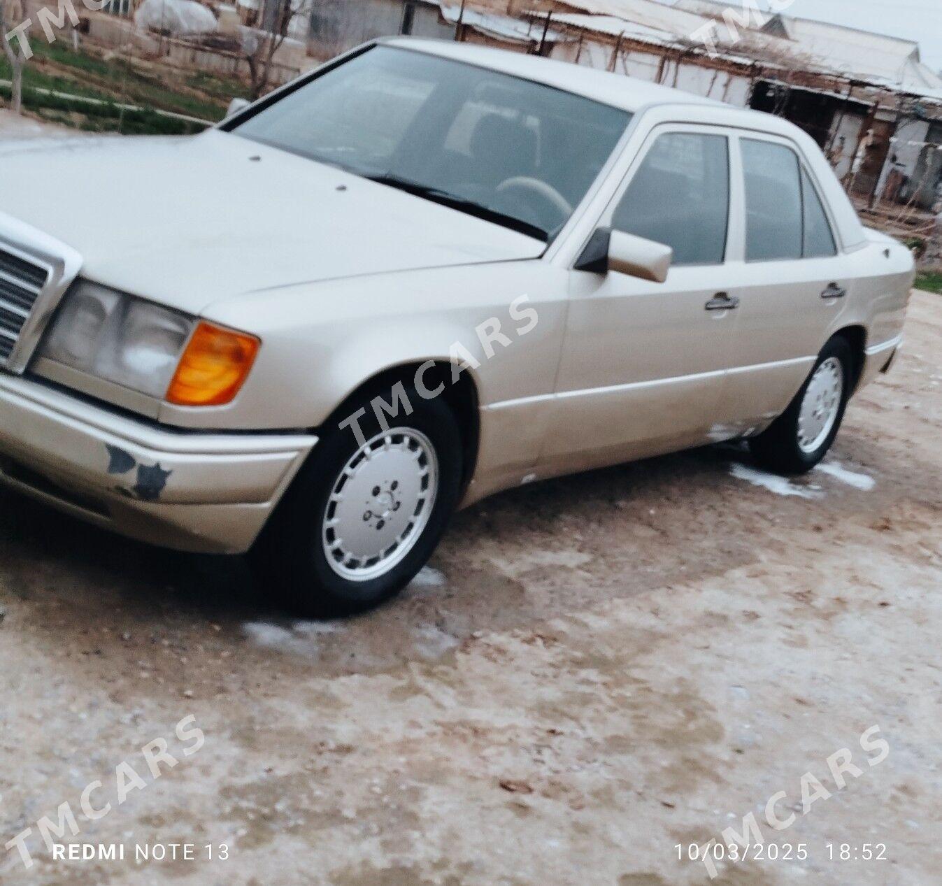 Mercedes-Benz 230E 1991 - 50 000 TMT - Mary - img 2