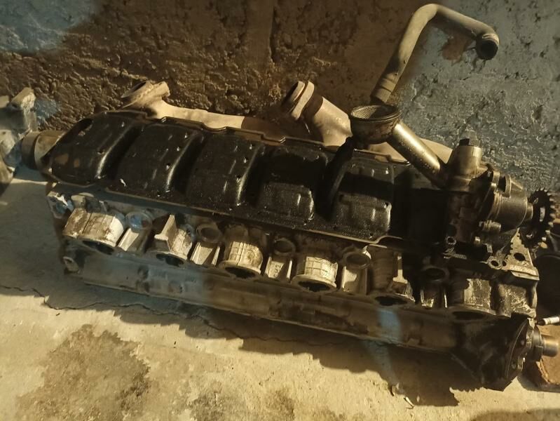 былок вал пошын галофка 555 TMT - Gumdag - img 5