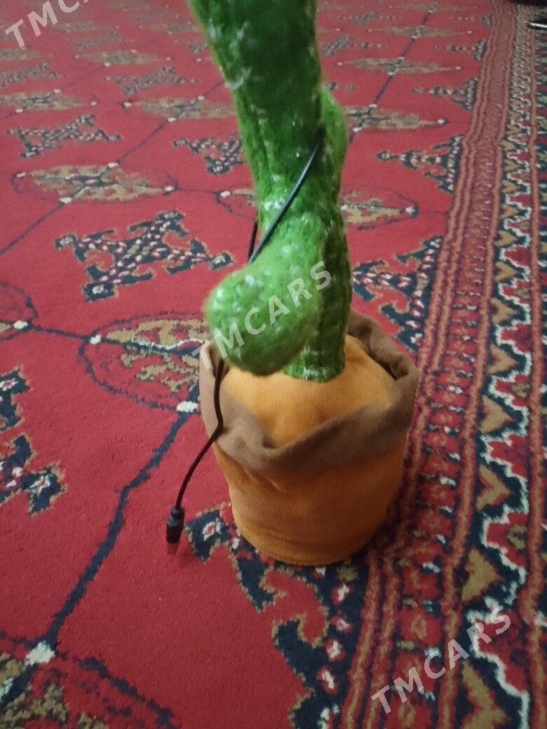 Kaktus oýunjak - Daşoguz - img 6