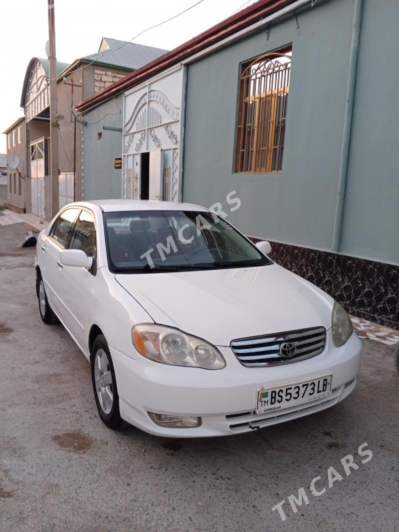 Toyota Corolla 2003 - 109 000 TMT - Магданлы - img 2