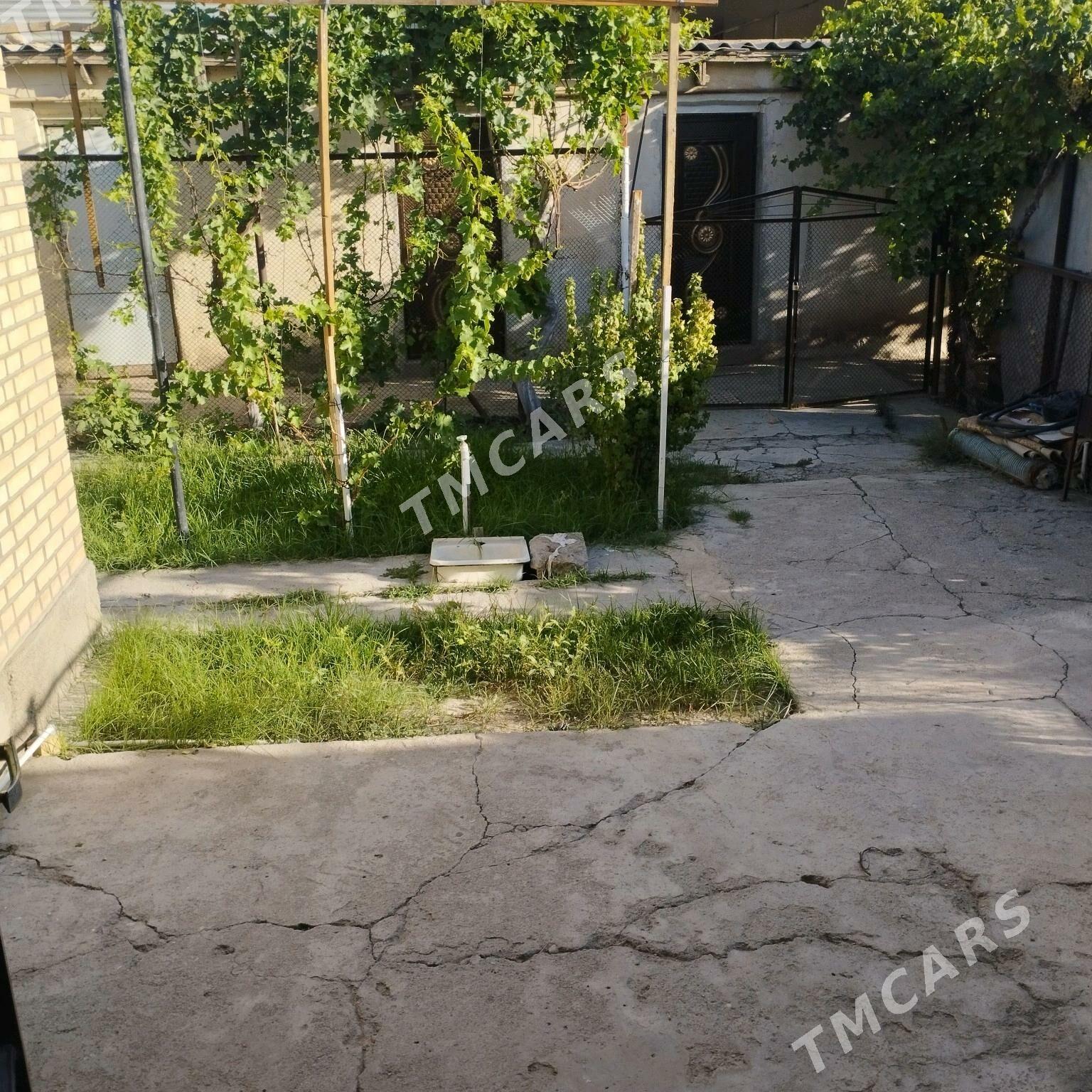 satlyk jay - Мары - img 3