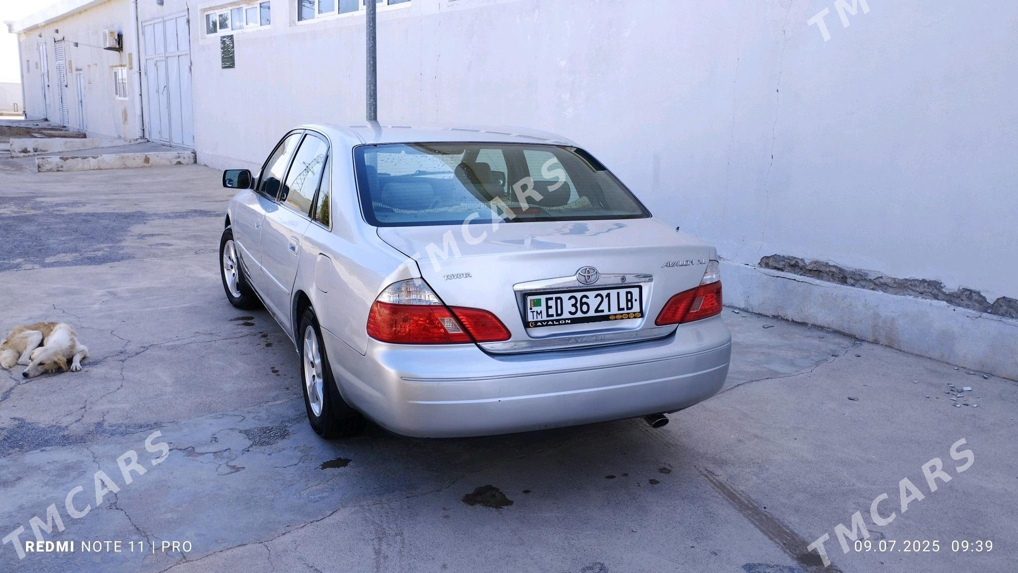 Toyota Avalon 2002 - 200 000 TMT - Magdanly - img 11