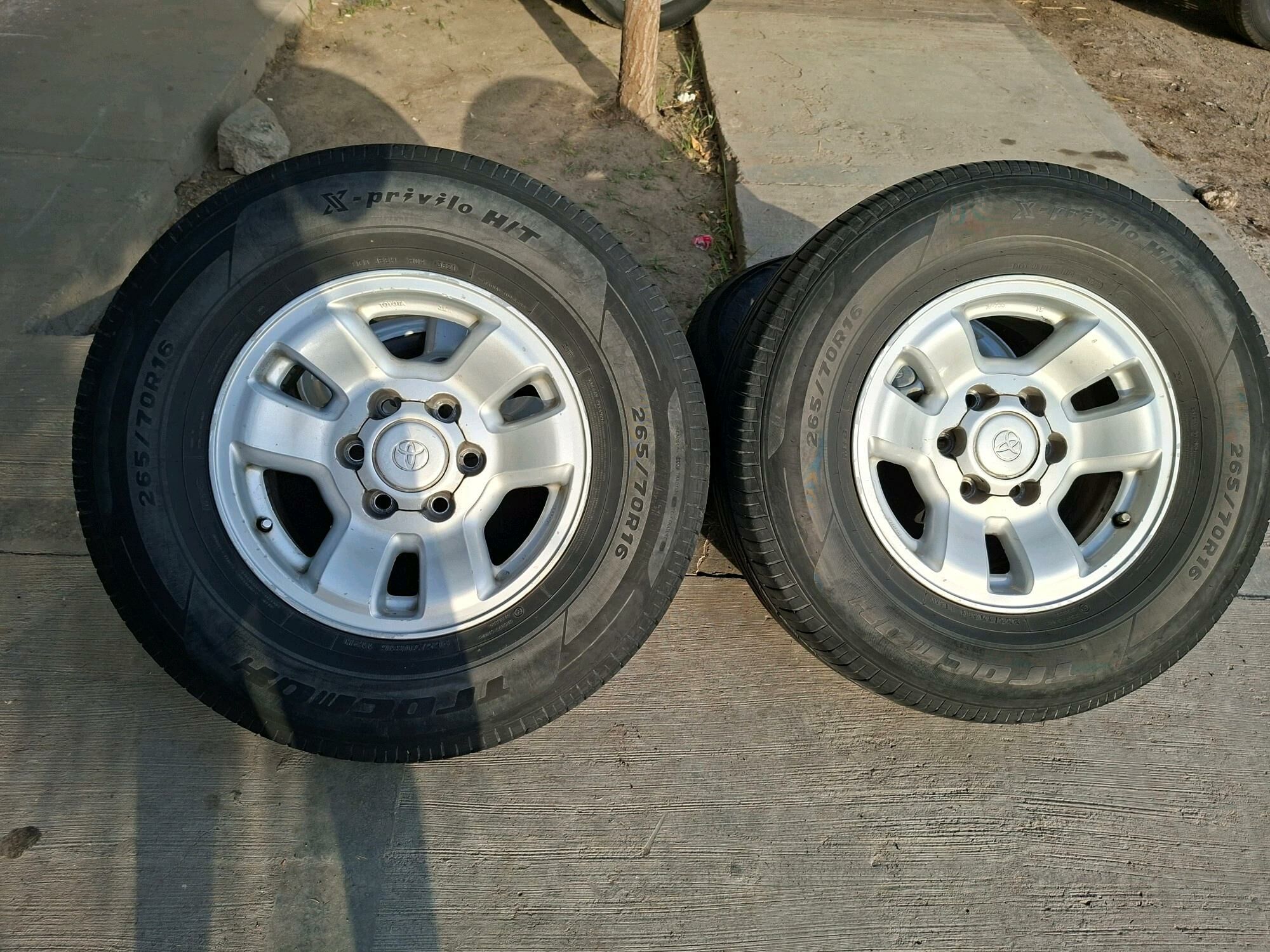Runner R16 angar 4 500 TMT - Türkmenabat - img 2