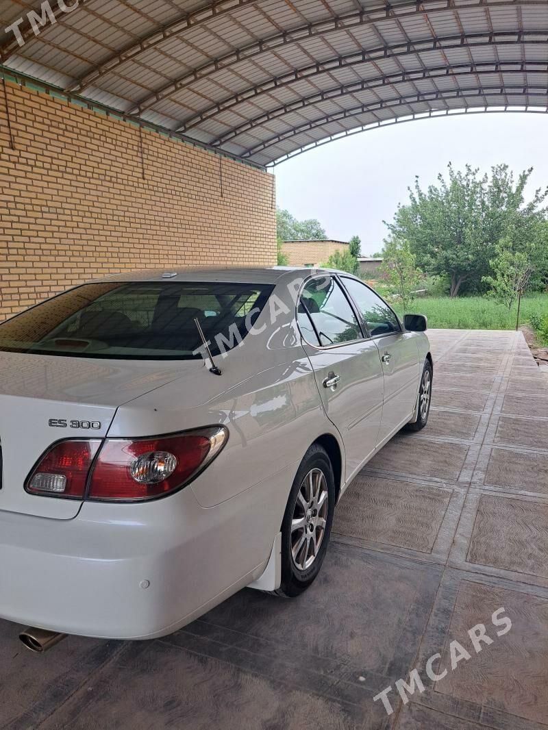 Lexus ES 330 2004 - 220 000 TMT - Türkmenabat - img 7
