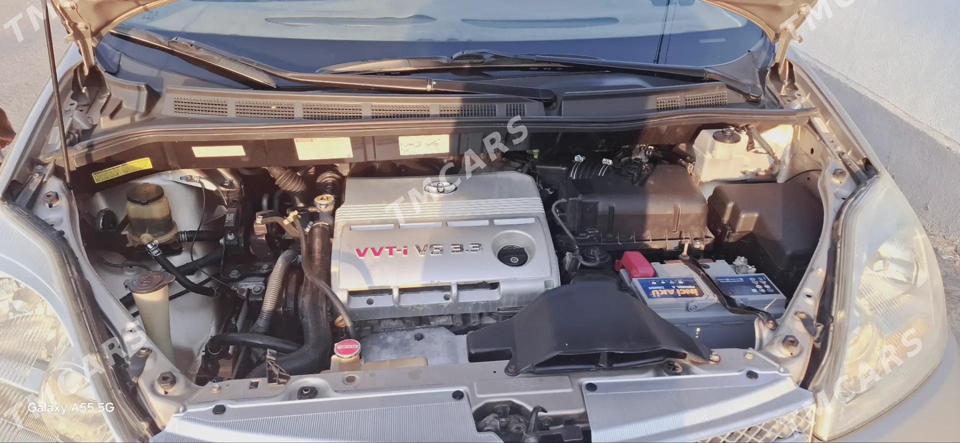 Toyota Sienna 2003 - 250 000 TMT - Гороглы (Тагта) - img 5
