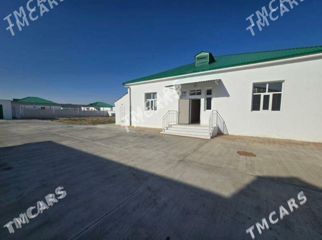 Körçaý korcay kor cay onaldy - Ak bugdaý etraby - img 2