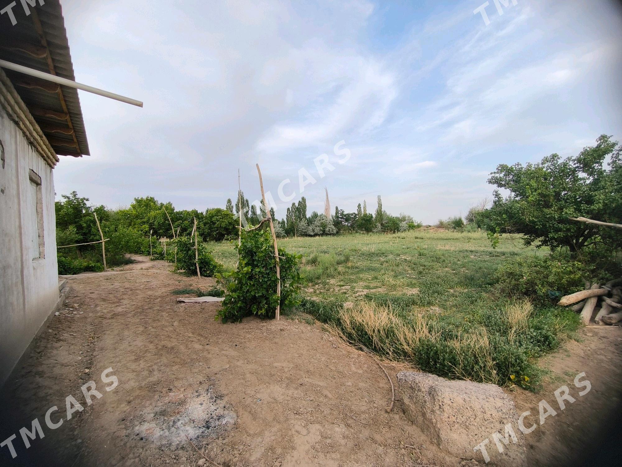 yzmyhsir gala yaninda - Дашогуз - img 9